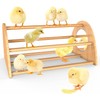 Ensayeer Ensayeer Bamboo Chicken Perch with Mirror, Strong Roosting Bar