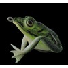 Jenzi, The Prince Realistic Frog Dark Green