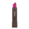 AVEDA Feed My Lips Pure Nourish-Mint Lipstick Shade 16 Passion