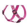 Lupine Puppy Love Patterned Step-In Harness for Medium Dogs, 3/4-inch/