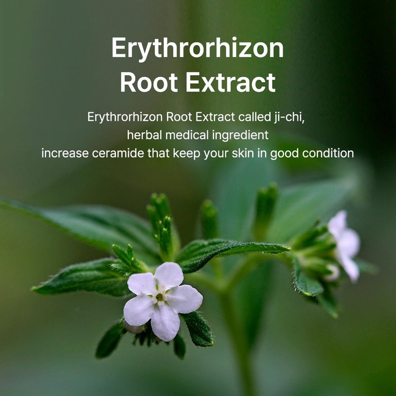 B : Lab [B : Lab]Ji-chi Hydro Boost Layer Serum