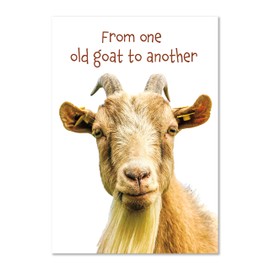 Funny Happy Birthday Card, Old Goat Birthday Card, "From One Old Goat to Another", 5"x7", each card comes with a white envelope, great for friends and family Members (1-pack)