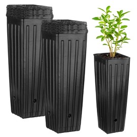 M METERXITY 100-Pack Plant Nursery Pots, 3.94x3.94x11.81 Inch Plastic Deep Growing Nursery Pots Succulent Planter Flower Tree pots with Drainage Holes for Indoor Outdoor Gardening [Black]