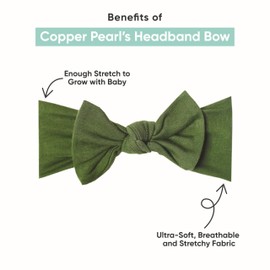 Copper Pearl Baby Bows: Stylish Headbands for Baby Girls, Premium Soft and Stretchy Baby Headbands, Perfect for Newborns, Trendy Designs - Cookie Monster