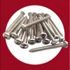 4.8mm x 32mm Pozi Pan Self-Tapping Screws - Marine Grade
