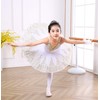 Girl's Camisole Skirted Leotard Ballet Lace Sequin Tutu Swan Costumes