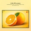 HD Cartoon Digital Video Camera Toy DIY Photos Video Recording