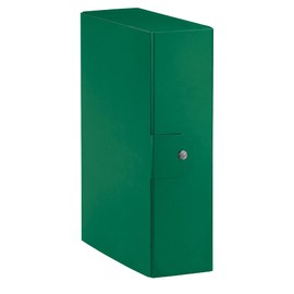 Esselte Cartelle a scatola Eurobox - folders (Green)