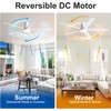 Rayqueen 60 Inch Ceiling Fans with Lights and Remote,Flush Mount