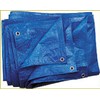 Blue Tarpaulin 60 g/m², 3 x 3 m Fabric Tarpaulin