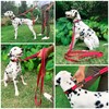 Tuff Pupper Heavy Duty Double Handle Dog Leash | Twist