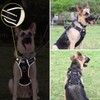 AnnuoYi No Pull Dog Harness, Pet Harnesses with Dog Collar,