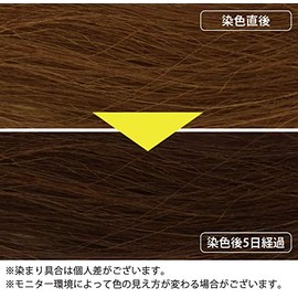 Henna Fountain, 3.5 oz (100 g), Brown, Henna Color Powder, EcoCert Certified Ingredients, Organic Henna, For Natural Gray Hair Dye