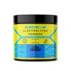 Electro-Hi Electrolyte Powders - Blueberry Flavour Ultimate Hydration with Keto-Friendly,