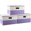 PRANDOM Large Foldable Storage Bins with Lids [3-Pack] linen Fabric