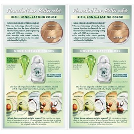 Garnier Nutrisse 93 Light Golden Blonde Permanent Hair Color 2 Pack