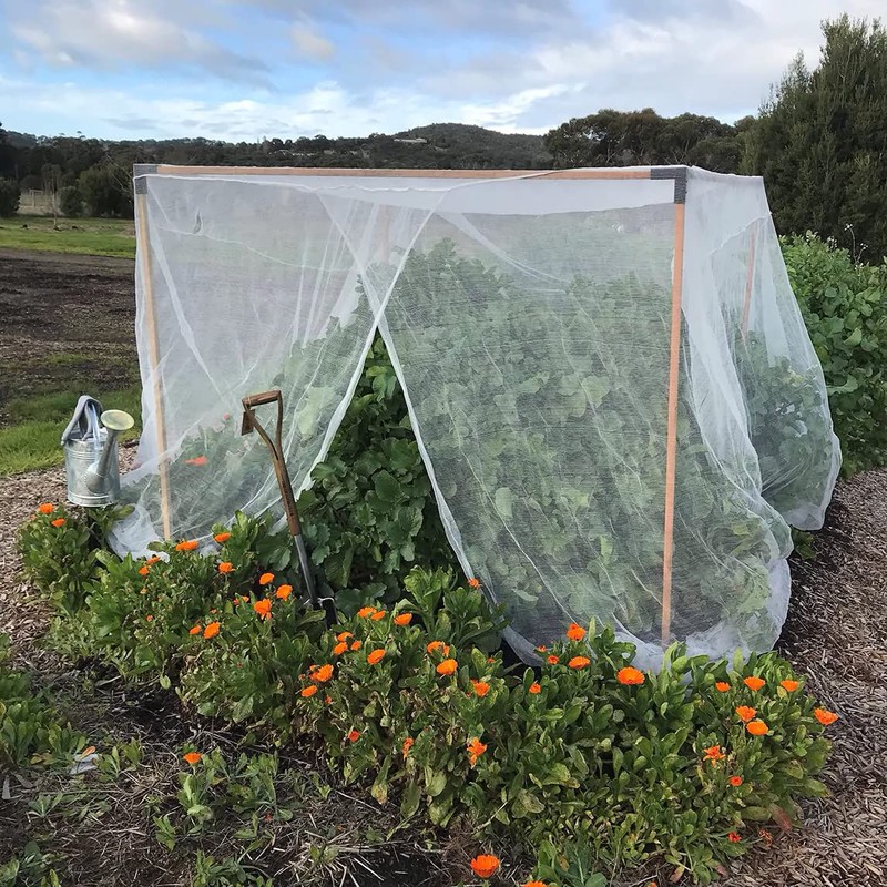 Aoipend Fine Mesh Garden Netting for Protection, 10'x50' Vegetable Crop