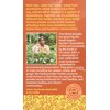 Equal Exchange Organic Chai, 20 Count (Pack of 3)