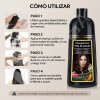 Kaisasa Shampoo Con Tinte Para Cubrir Canas 2 Pzs