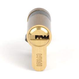 IFAM Cylinder Start STR1030L 10 x 30 mm Brass Cylindrical Security Lock with 5 Nickel-Plated Steel Security Keys, Euro Profile Cylinder, Interior and Exterior Door Locks