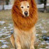 Cute Pet Cosplay Clothes Transfiguration Costume Lion Mane Winter Warm