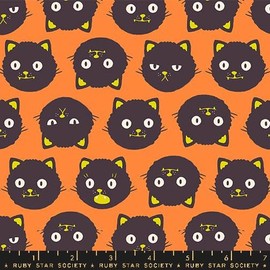 Ruby Star Society: Good Spirits - Scaredy Cats in Pumpkin (Glow in Dark Inks) - Sold by The Yard