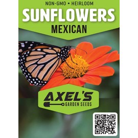 Mexican Sunflower Seeds for Planting – Plant & Grow Heirloom Mexican Sunflowers in Home Outdoor Garden – Planting Instructions for Vibrant Blooms – Great Gardening Gift, 1 Packet