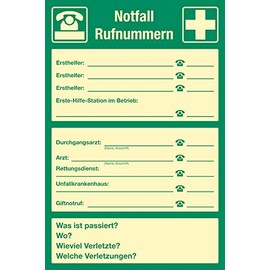 Sign Sicherheitsaushang Emergency Call Numbers | Photoluminescent | PVC 30 x 20 cm | UV Stable | Weather Resistant | Rescue Sign Rescue Sign with Emergency Numbers for Self-Labelling