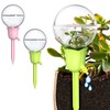 NiHome 2-Pack Tulip-Shaped Plant Self-Watering Globes (Pink + Green)