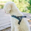 Nobby Norwegian Harness Mesh Preno, Light Blue, L: 38-50 cm