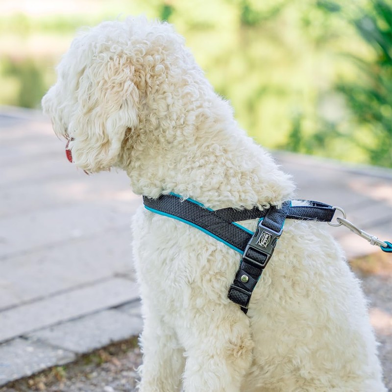 Nobby Norwegian Harness Mesh Preno, Light Blue, L: 38-50 cm