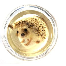 Magic Rosin 3G - Harriett The Hedgehog