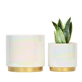 Gepege White Indoor Plant Pots for Plants, Ceramic Planter with Drainage Hole, 7.6 Inch +6 Inch 2pcs Succulent Orchid Flower Pot - Rainbow Pearl Glaze