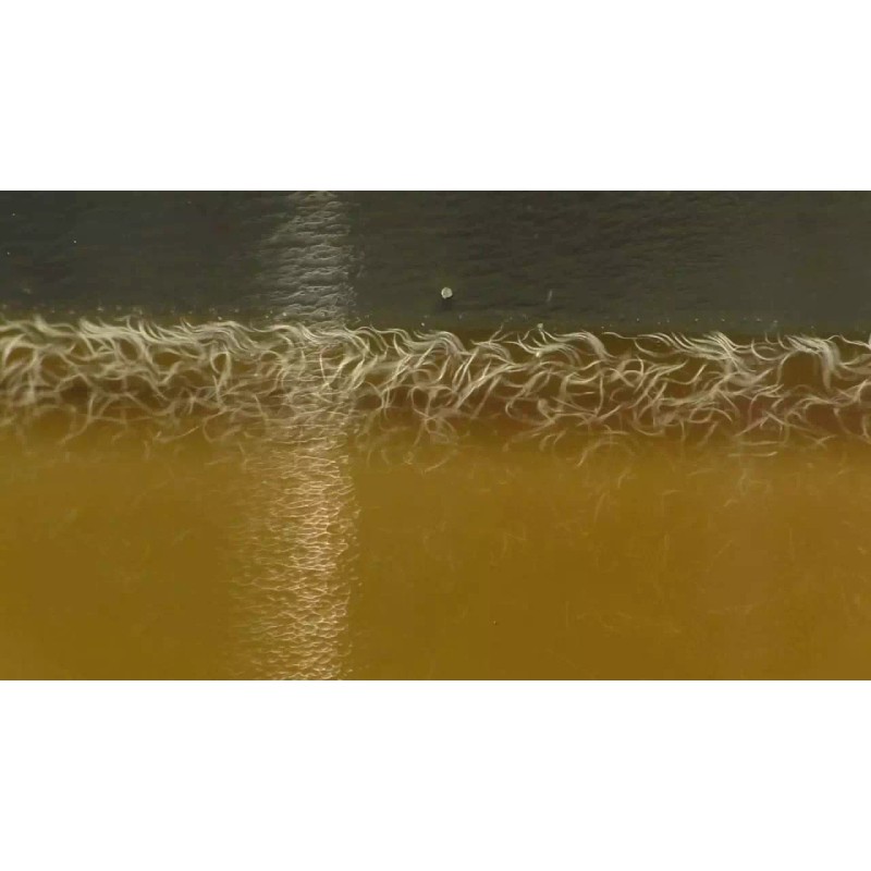 Doris' Eels VINEGAR EELS LIVE STARTER CULTURE - 1 Fl.