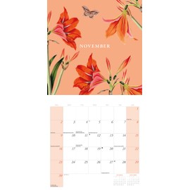2025 New York Botanical Gardens Illustrated Wall calendar: Plastic Free Packaging