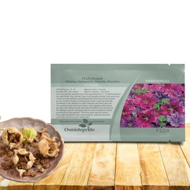 Outsidepride Merlin French Hollyhock Seeds - 100 Pcs Perennial Violet, Purple, Mauve, & Blue Heirloom, Long-Blooming Flower Seeds with Semi-Double Blooms for Cottage Gardens & Cut Flowers