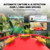 Hummingbird Feeder with Camera, AI Smart Identification Cloud Storage Function,