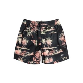 Quiksilver Boys' Everyday Mix Volley Youth 14 Board Shorts (Pack of 1)