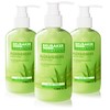 BRUBAKER Cosmetics 3-Pack Liquid Hand Wash Aloe Vera - 3