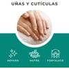 Árbora Kit Aceite de Ricino para pestañas y cejas crecimiento