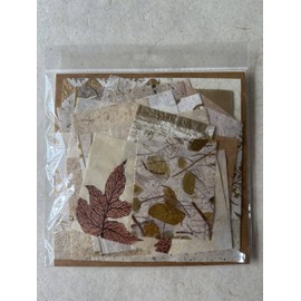 Kozo Studio - Mulberry Paper Scrap Pack Golden Harvest Edition (100 Unique Pieces) | Premium Decorative Paper for Scrapbooking, Card Making, Collage, Mixed Media Crafts, and DIY Projects