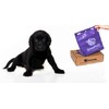GreenPolly Pet Waste and Dog Poop Bags, 250 Count, Made