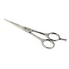 NTS-Solingen Shiny Line Hairdressing Scissors Highly Polished 11.5 - 16.5