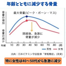 天然塩 姫ひじきの塩 100g 国産 無添加 海水塩 粗塩 天然 カルシウム マグネシウム 豊富な天然ミネラル 自然塩 塩 ひじき 姫ひじき SUMIYOSHIシール付き