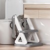 Potty Training Toilet Seat with Step Stool Ladder for Boys