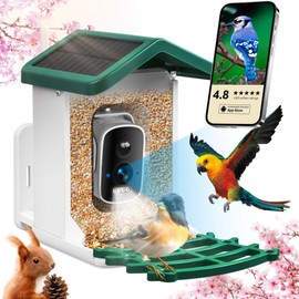 Smart Bird Feeder with Camera, Birds Feeders for Outdoors with AI Identify Species Solar Panel, Smart Bird House with Live View, Ideal Gift for Family and Birds Lovers, Green