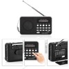 Portable Digital Audio Player HiFi Music Speaker Support FM Radio