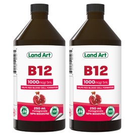 Land Art Vitamin B12 Liquid 250ml C 50 Doses - Great Taste - 1000mcg - For Kids and Adults - Fast Absorption - Vegan - Non-GMO C Gluten Free C No Sugar Added - Made in Canada (Pack of 2)