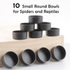 10 Pcs Small Reptile Water Bowl Food Dish Feeding Bowl