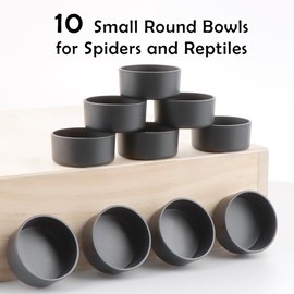 10 Pcs Small Reptile Water Bowl Food Dish Feeding Bowl for Spider Gecko Lizard Horned Frog Turtle Snake (Black)